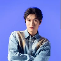 dương domic