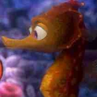 Cá ngựa quá trời ngựa