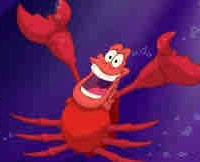 Tom em của cua Tommy