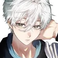Nagi Seishero