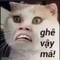 NV phi giới tính