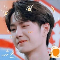 Bo đệ