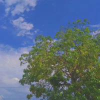 mọi người