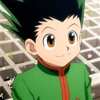 Gon Freecss