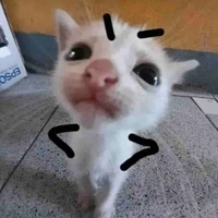 tg này lười vt trỵn🤡