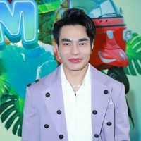 lê dương bảo lâm (bạn hiếu)