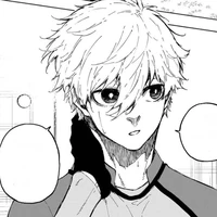 Nagi Seishiro ( N )