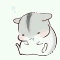 Hệ thống chuột cute