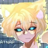 hiha catnap anti