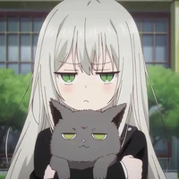 chi chi (t/g) 