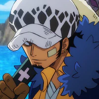 law