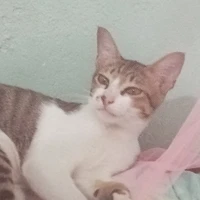 t/g đâyy😼