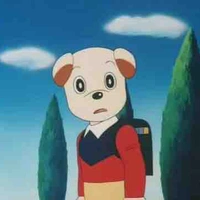 Chippo (hình thú)