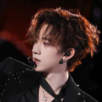 Hạ Tuấn Lâm