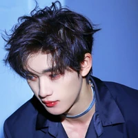 Đinh Trình Hâm