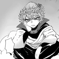 Picero Agares