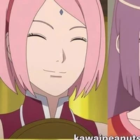sakura