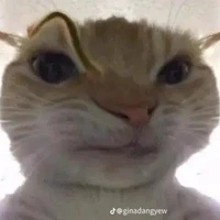 t/g