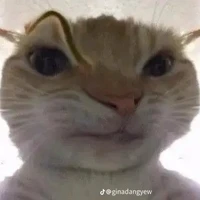 t/g