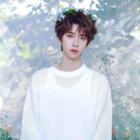 Hạ Tuấn Lâm