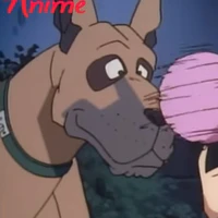 Jumbo