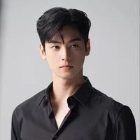 cha eun Woo
