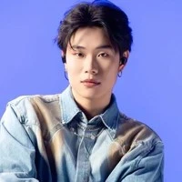 Trần Đăng Dương (Dương Domic)