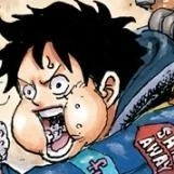 Monkey D Luffy