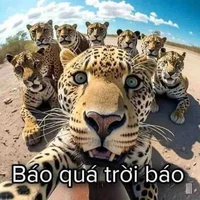5 con BÁO 