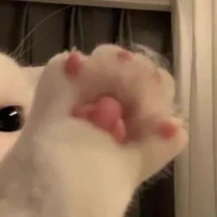 ？？？
