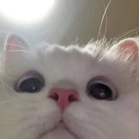 All