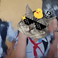 Con tác giả nè