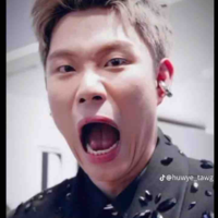 Dương Domic