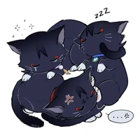 tg đã nghèo lại còn FA