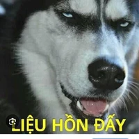anh chó:))