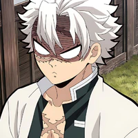 Shinazugawa Sanemi