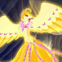 Shiny