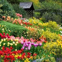 tất cả/-1 số người/