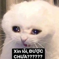 linh u