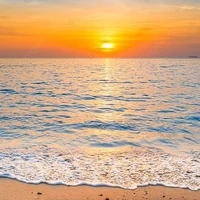 Mọi người