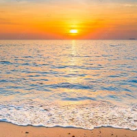 Mọi người