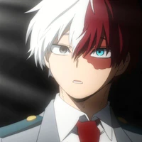 Shoto Todoroki