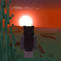 T/g