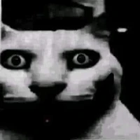 Hệ Thống xig gái