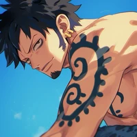 Law