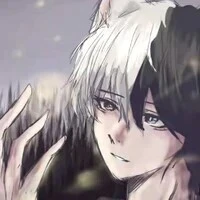 siro