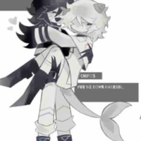  t/g ume harabin x chip