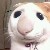 ?