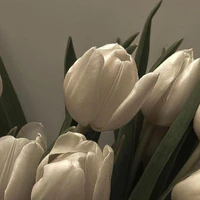 T/G