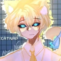 hiha anti catnap